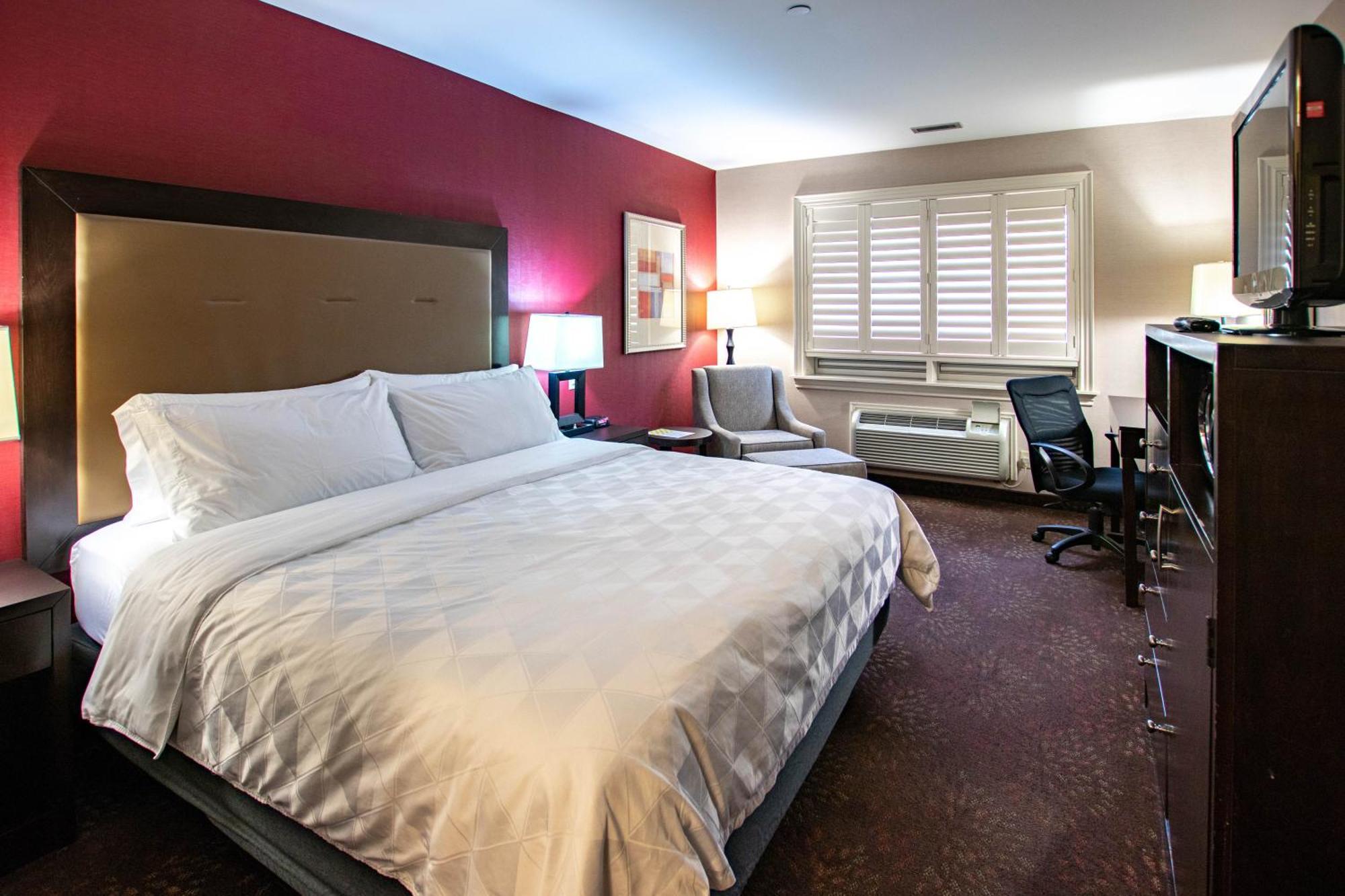 Holiday Inn Hotel & Suites St.Catharines-Niagara By Ihg Sainte-Catherine Exteriör bild